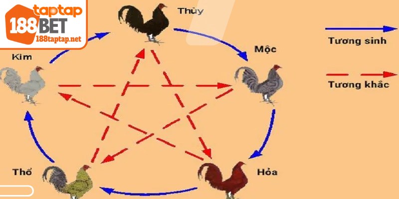 Hiện nay có rất nhiều màu mạng đa dạng để sư kê tự do nghiên cứu