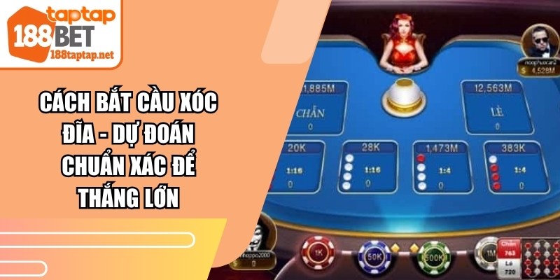 Cách Bắt Cầu Xóc Đĩa