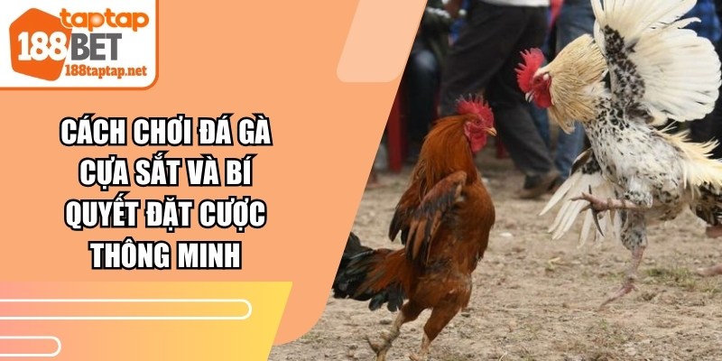 Cách Chơi Đá Gà Cựa Sắt