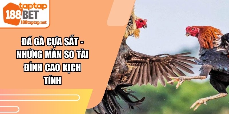 Đá Gà Cựa Sắt