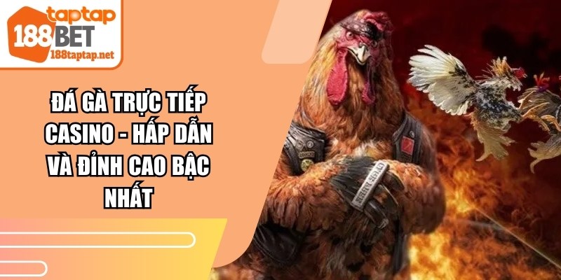 Đá Gà Trực Tiếp Casino