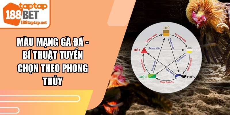 Màu Mạng Gà Đá